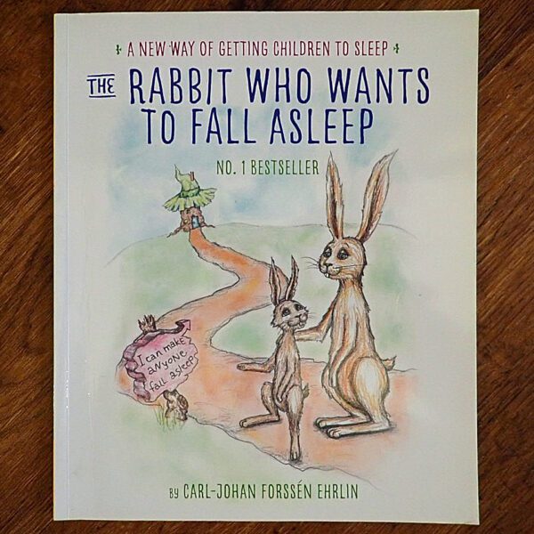 The Rabbit Who Wants to Fall Asleep Picture Story Book EUC