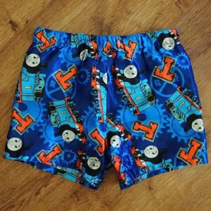 Size 2 Thomas the Tank Engine Blue Boxer Shorts GUC