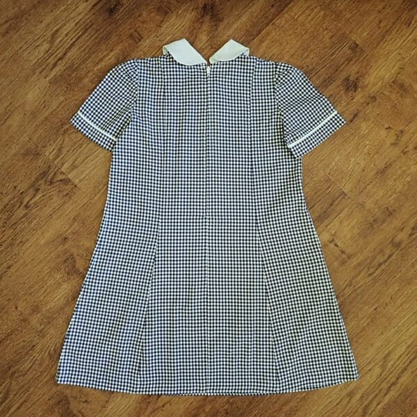 Size 6 Centavic Clothing Gingham School Dress EUC - Image 2