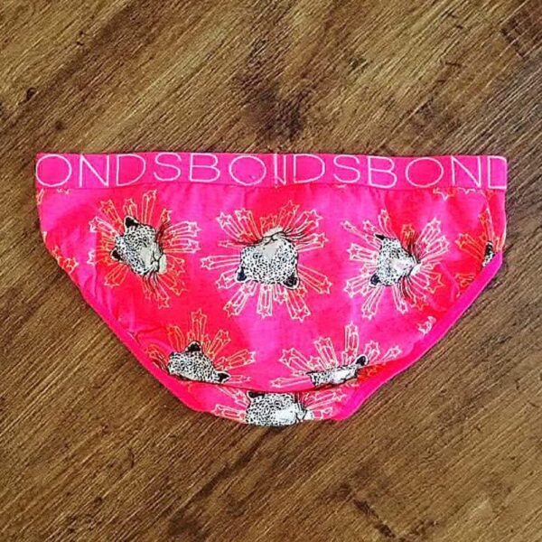 Size 8/10 Bonds Hot Pink 'Cheetah' Briefs NWOT - Image 2