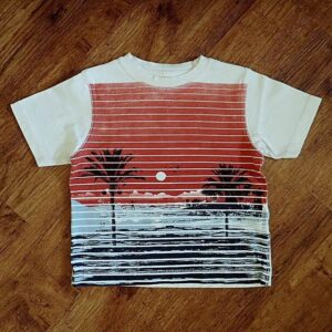 Size 3 Gymboree 'Tropical' Tee EUC
