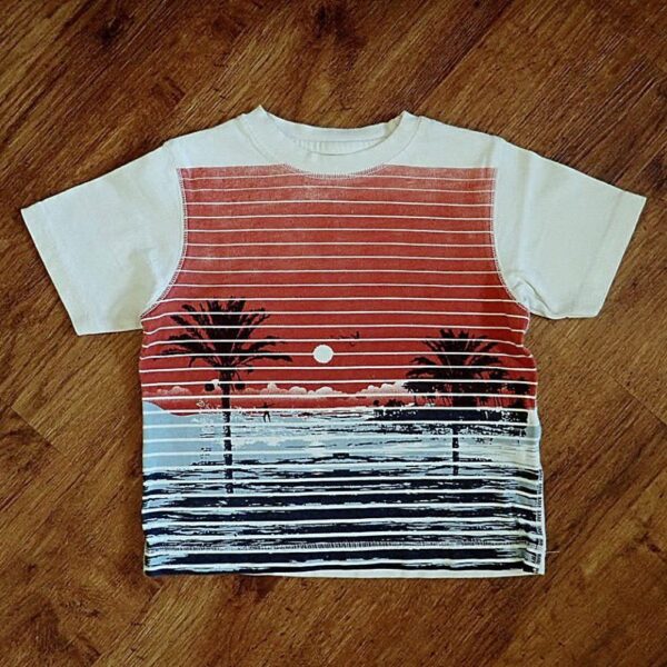 Size 3 Gymboree 'Tropical' Tee EUC