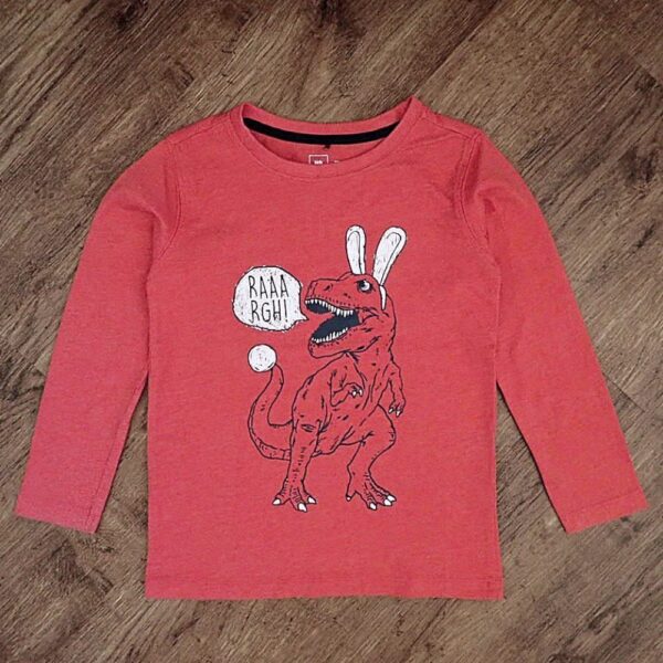 Size 5 Kids & Co 'RAAARGH!' Long Sleeve Dinosaur Tee NOS