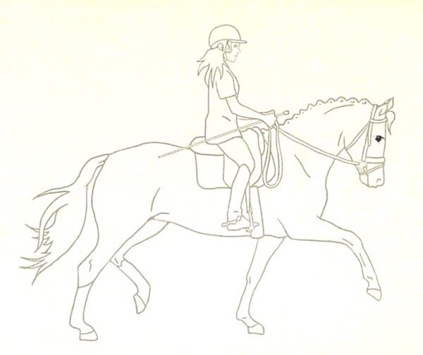Depesche: Horses Dreams Drawing & Colouring Folio EUC - Image 4