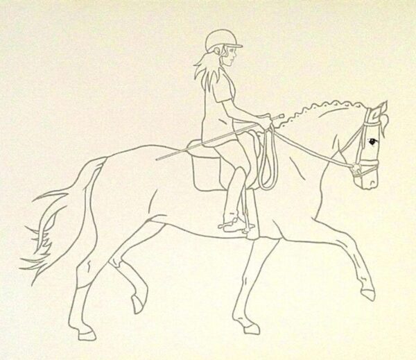 Depesche: Horses Dreams Drawing & Colouring Folio EUC - Image 4