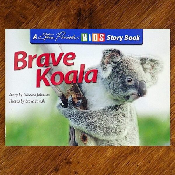 Kids Story Book Series: Brave Koala (Steve Parish) NOS