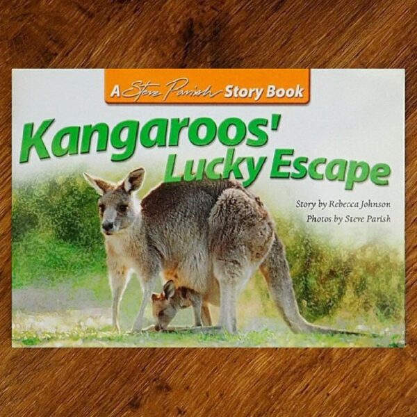 Kids Story Book Series: Kangaroos Lucky Escape (Steve Parish) NOS