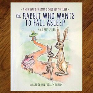 The Rabbit Who Wants to Fall Asleep Picture Story Book EUC