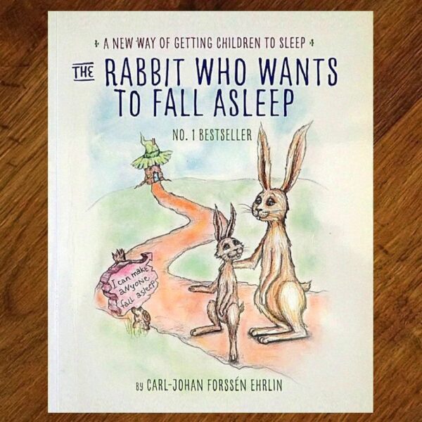 The Rabbit Who Wants to Fall Asleep Picture Story Book EUC