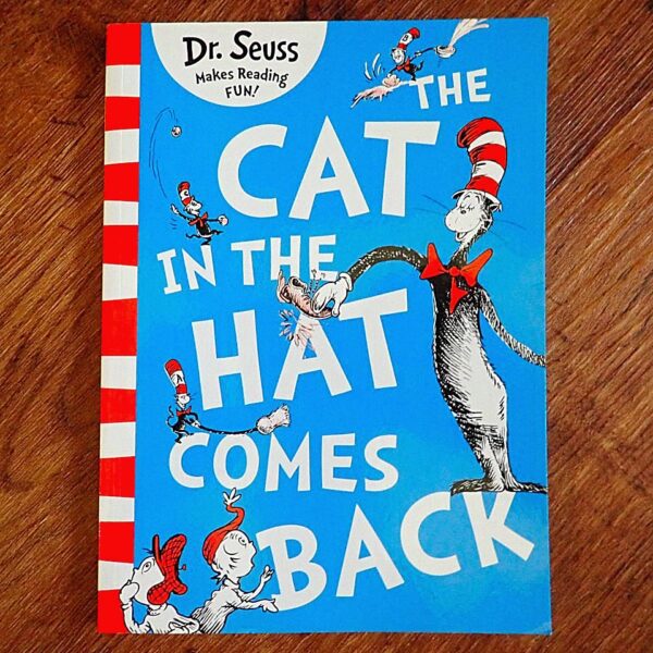 Dr Seuss: The Cat in the Hat Comes Back Picture Story Book EUC