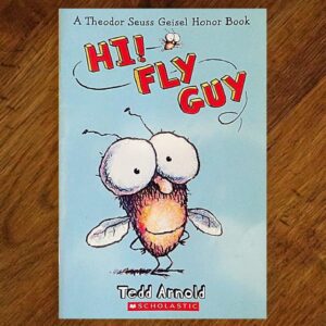 Fly Guy: #1 Hi! Fly Guy (Ted Arnold) Picture Story Book EUC