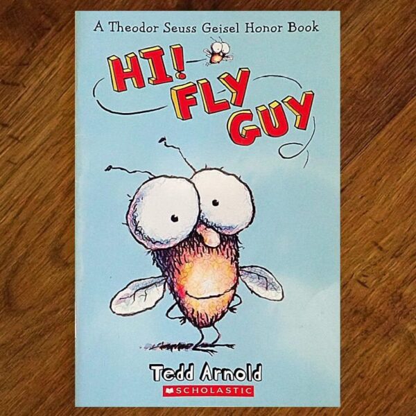 Fly Guy: #1 Hi! Fly Guy (Ted Arnold) Picture Story Book EUC