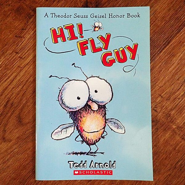 Fly Guy: #1 Hi! Fly Guy (Ted Arnold) Picture Story Book EUC