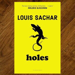 Holes (Louis Sachar) Chapter Book EUC