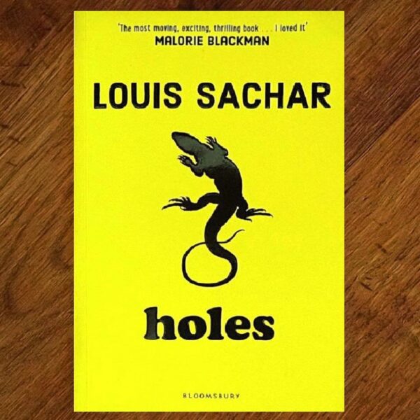 Holes (Louis Sachar) Chapter Book EUC