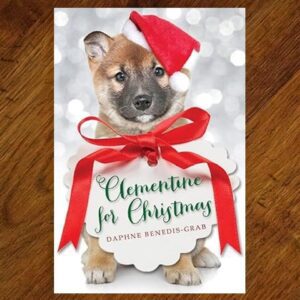 Clementine for Christmas (Daphne Benedis-Grab) Chapter Book EUC
