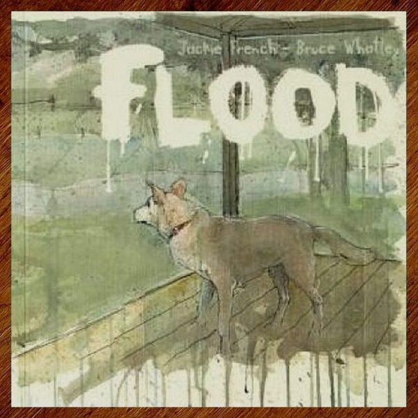 Flood (Jackie French) Picture Story Book NOS