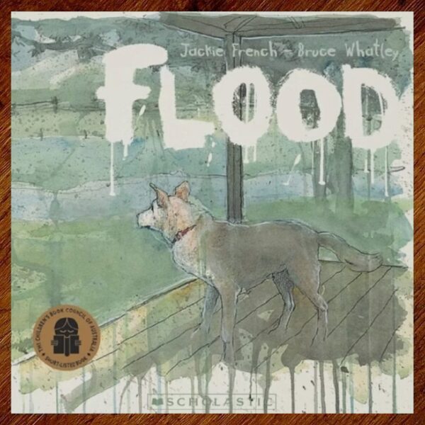 Flood (Jackie French) Picture Story Book EUC
