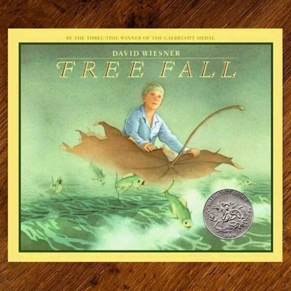 Free Fall (David Wiesner) Picture Story Book NOS