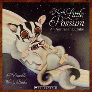 Hush Little Possum: An Australian Lullaby Picture Story Book EUC