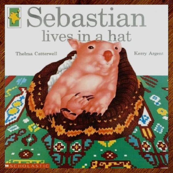 Sebastian Lives in a Hat Picture Story Book EUC