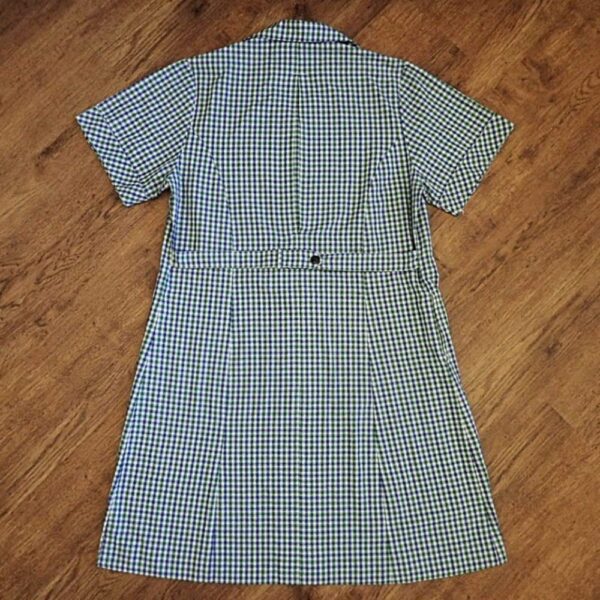 Size 16L Australian Design: Ballarat High School Summer Dress EUC - Image 2