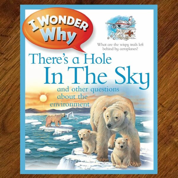 I Wonder Why: There's a Hole in the Sky EUC