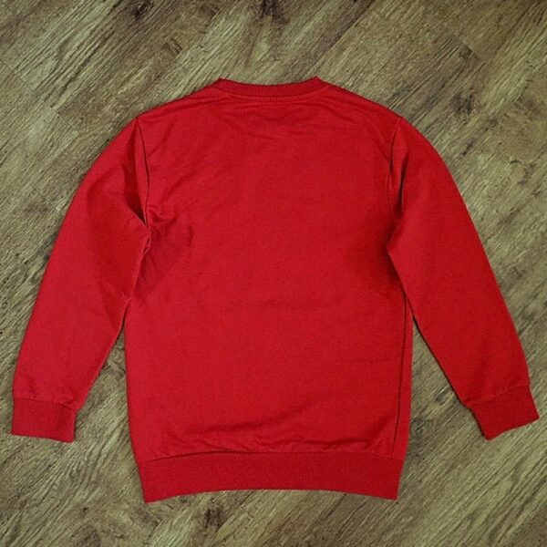 Size 12 Urban Supply Red 'Downtown Eagles' Windcheater NWOT - Image 2